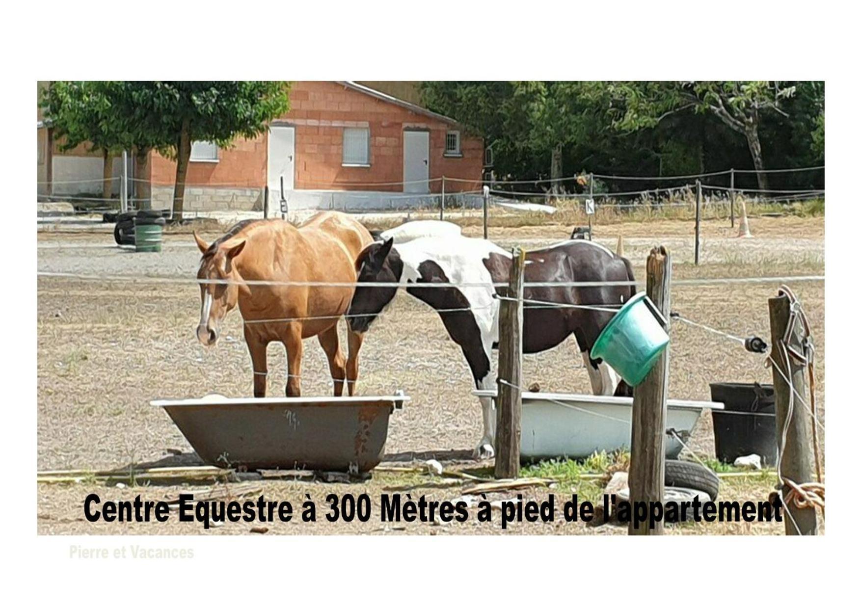 Charmant Appartement Avec Piscine. Monflanquin Buitenkant foto